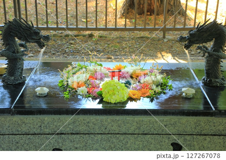 美幌神社の花手水 127267078