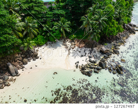 The white sand beach is bordered by rows of majestic palm trees and granite boulders. Seychelles, Mahe. Anse Bougainville. 127267497