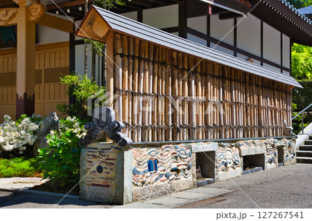 ネコ寺 127267541
