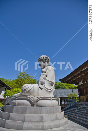 ネコ寺 127267572