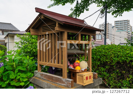 東京都文京区　白山神社（はくさんじんじゃ）　白山浅間神社　文京あじさいまつり 127267712