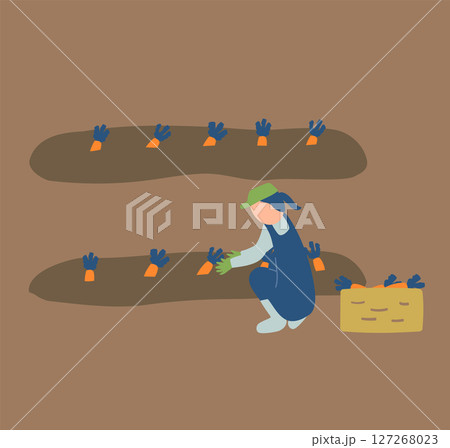 にんじんの収穫作業をする農家のイラスト にんじんの収穫作業をする農家のイラスト 127268023