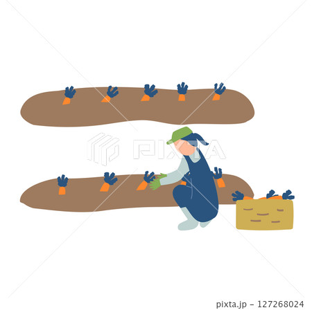 にんじんの収穫作業をする農家のイラスト にんじんの収穫作業をする農家のイラスト 127268024