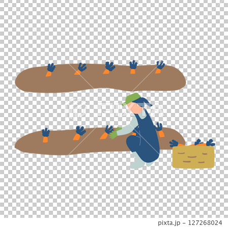 にんじんの収穫作業をする農家のイラスト にんじんの収穫作業をする農家のイラスト 127268024