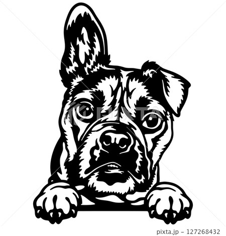 Bulldog Dog - Peeking Dog Breed - Pet Dog Vector Portrait, Dog Silhouette Stencil Bulldog Dog - Peeking Dog Breed - Pet Dog Vector Portrait, Dog Silhouette Stencil 127268432