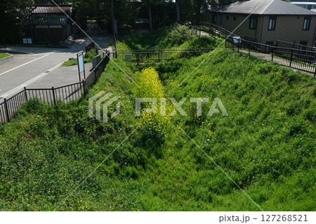 勝竜寺城土塁・空堀跡 127268521