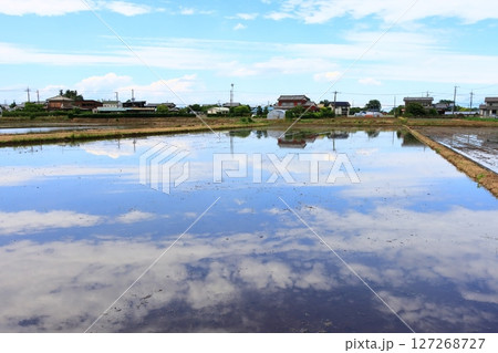 水を張った田んぼに映る空 水を張った田んぼに映る空 127268727