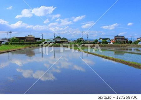 水を張った田んぼに映る空 127268730