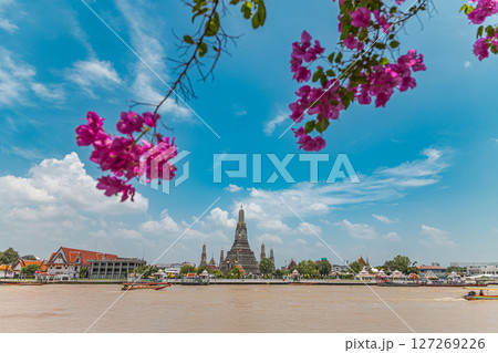 花とワットアルン 127269226