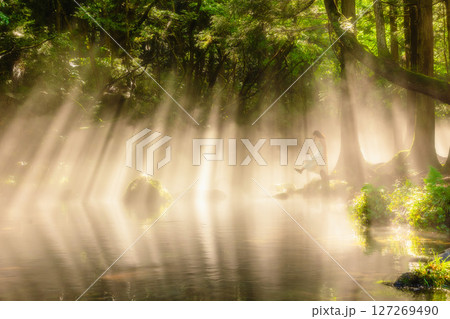 元滝伏流水と光芒と少女 元滝伏流水と光芒と少女 127269490