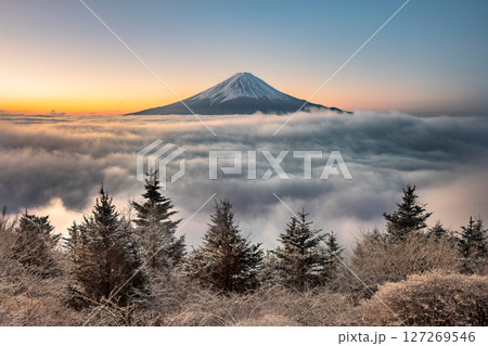 新道峠 雲海と富士山 127269546