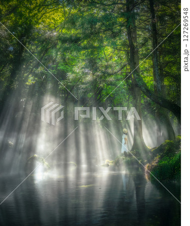 元滝伏流水と光芒 元滝伏流水と光芒 127269548