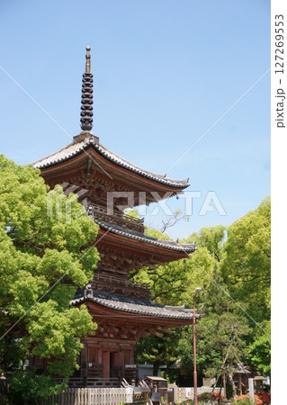 甚目寺観音　三重塔　重要文化財　尾張四観音 127269553