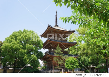 甚目寺観音 三重塔 国重要文化財 尾張四観音 甚目寺観音 三重塔 国重要文化財 尾張四観音 127269560