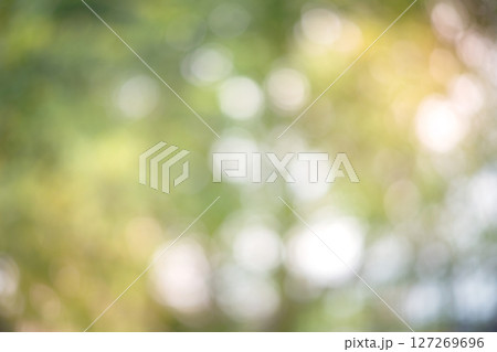 Bokeh Blur, Blur Image, Beautiful Light Background Image Bokeh Blur, Blur Image, Beautiful Light Background Image 127269696