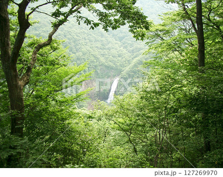 宮城県蔵王町の不動滝 127269970
