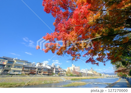 秋の鴨川沿い 秋の鴨川沿い 127270000