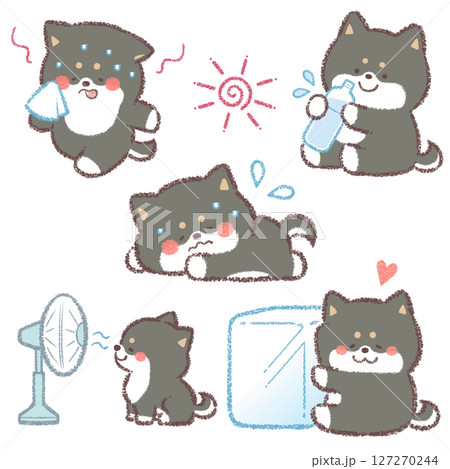 熱中症対策黒柴犬バリエーションセット 127270244