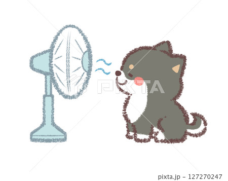扇風機で涼む黒柴犬 127270247