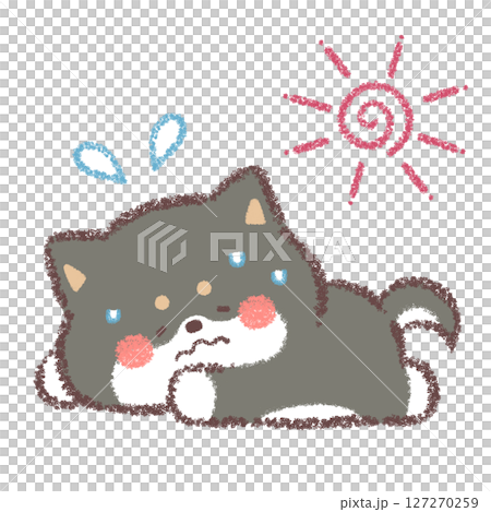 A tired black Shiba Inu A tired black Shiba Inu 127270259