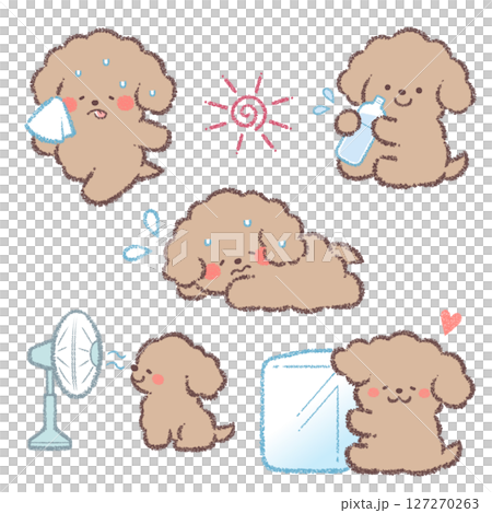 防中暑玩具貴賓犬變型套裝 127270263