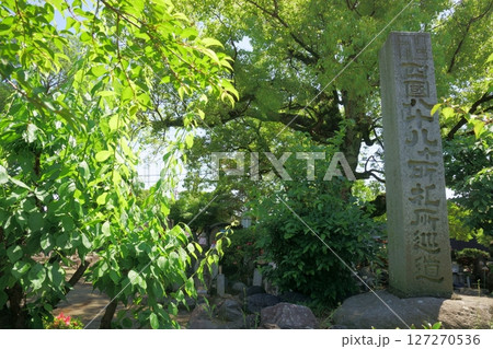 甚目寺観音 四国八十八カ所霊場 尾張四観音 甚目寺観音 四国八十八カ所霊場 尾張四観音 127270536