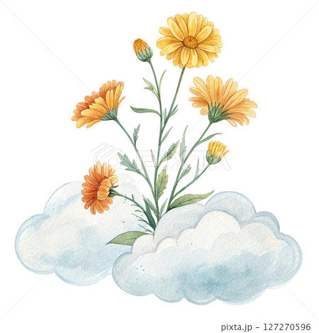 Summer Flowers Placed on a Cloud Clipart Watercolor white background 127270596