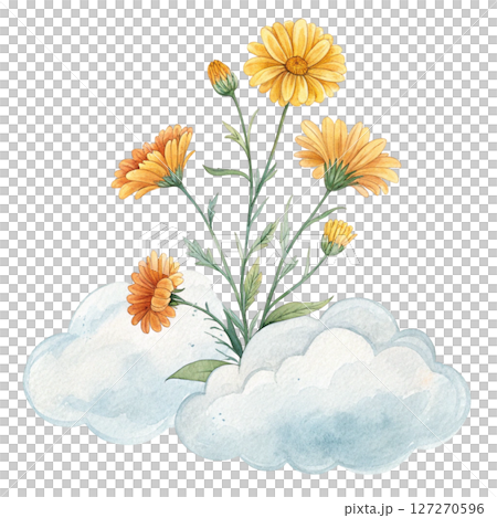 Summer Flowers Placed on a Cloud Clipart Watercolor white background 127270596