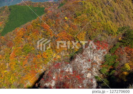 西上州・シラケ山から見る紅葉の天狗岩展望台 西上州・シラケ山から見る紅葉の天狗岩展望台 127270600