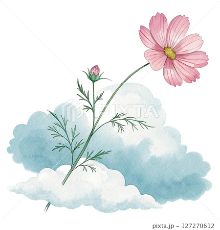 Summer Flowers Placed on a Cloud Clipart Watercolor white background 127270612