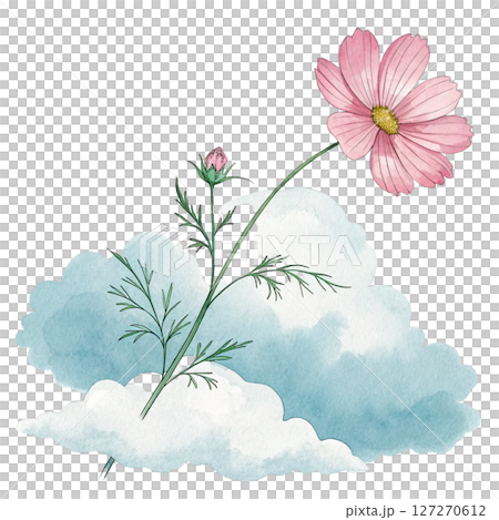Summer Flowers Placed on a Cloud Clipart Watercolor white background 127270612