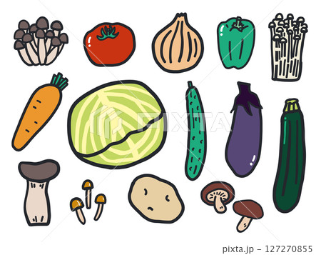 野菜ときのこ。キャベツ・トマト・ピーマン・玉ねぎ。輪郭あり手描きカラーイラストセット 127270855