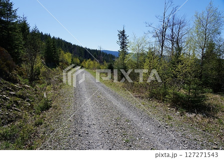 Path in Silesian Beskids near Szczyrk town in Poland 127271543