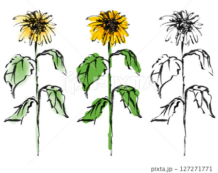 墨で描いたひまわりのイラスト～植物6 127271771