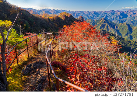 錦秋の西上州・天狗岩展望台 錦秋の西上州・天狗岩展望台 127271781