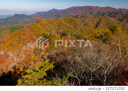 秋色の西上州・シラケ山から見る赤久縄山方面の山並み 秋色の西上州・シラケ山から見る赤久縄山方面の山並み 127271782