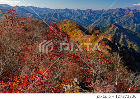 西上州・シラケ山から見る紅葉の烏帽子岳への稜線 127272236