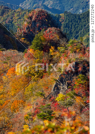 西上州・シラケ山から見る紅葉の烏帽子岳への稜線 127272240