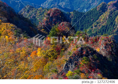 西上州・シラケ山から見る紅葉の烏帽子岳への稜線 西上州・シラケ山から見る紅葉の烏帽子岳への稜線 127272406