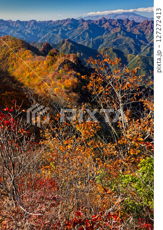 紅葉の西上州・シラケ山から見る烏帽子岳への稜線と浅間山 127272413