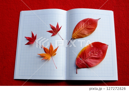 おちばと日記のイメージ素材 127272826