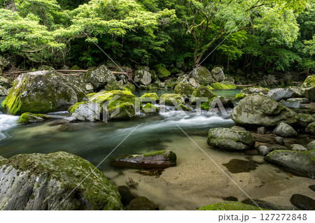 初夏の青紅葉が美しい自然の風景 127272848