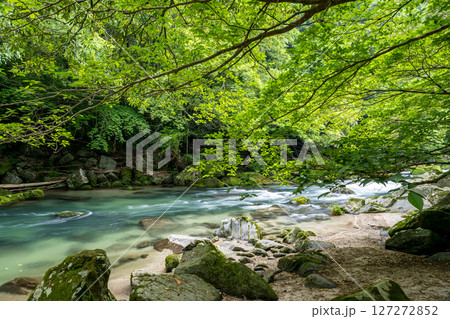 初夏の青紅葉が美しい自然の風景 127272852