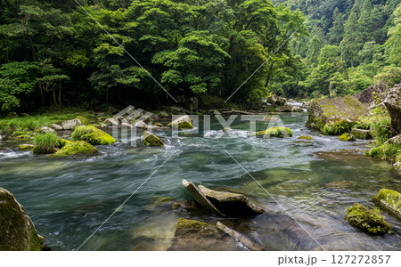 初夏の青紅葉が美しい自然の風景 127272857