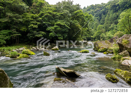 初夏の青紅葉が美しい自然の風景 127272858