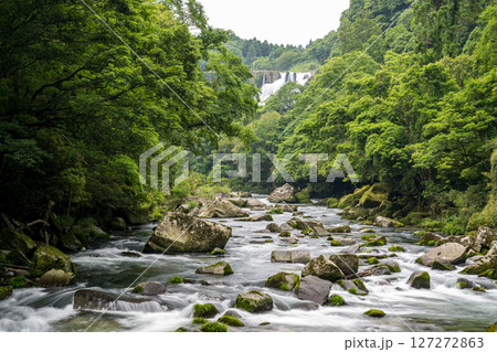 初夏の青紅葉が美しい自然の風景 127272863