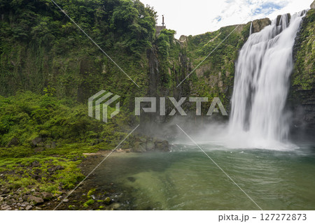 初夏の青紅葉が美しい自然の風景 127272873
