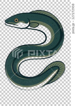 鰻魚圖 127272938