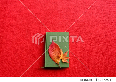色付き葉と読書のイメージ素材 127272941