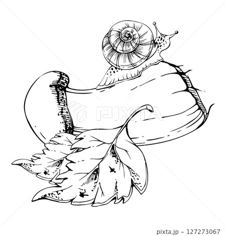 Birch bolete cep leccinum mushroom fungus, scaber stalk with snail on top, fallen autumn leaves. Forest floor scene. Nature hand drawn vector ink illustration. Stationery prints, calendar poster art Birch bolete cep leccinum mushroom fungus, scaber stalk with snail on top, fallen autumn leaves. Forest floor scene. Nature hand drawn vector ink illustration. Stationery prints, calendar poster art 127273067